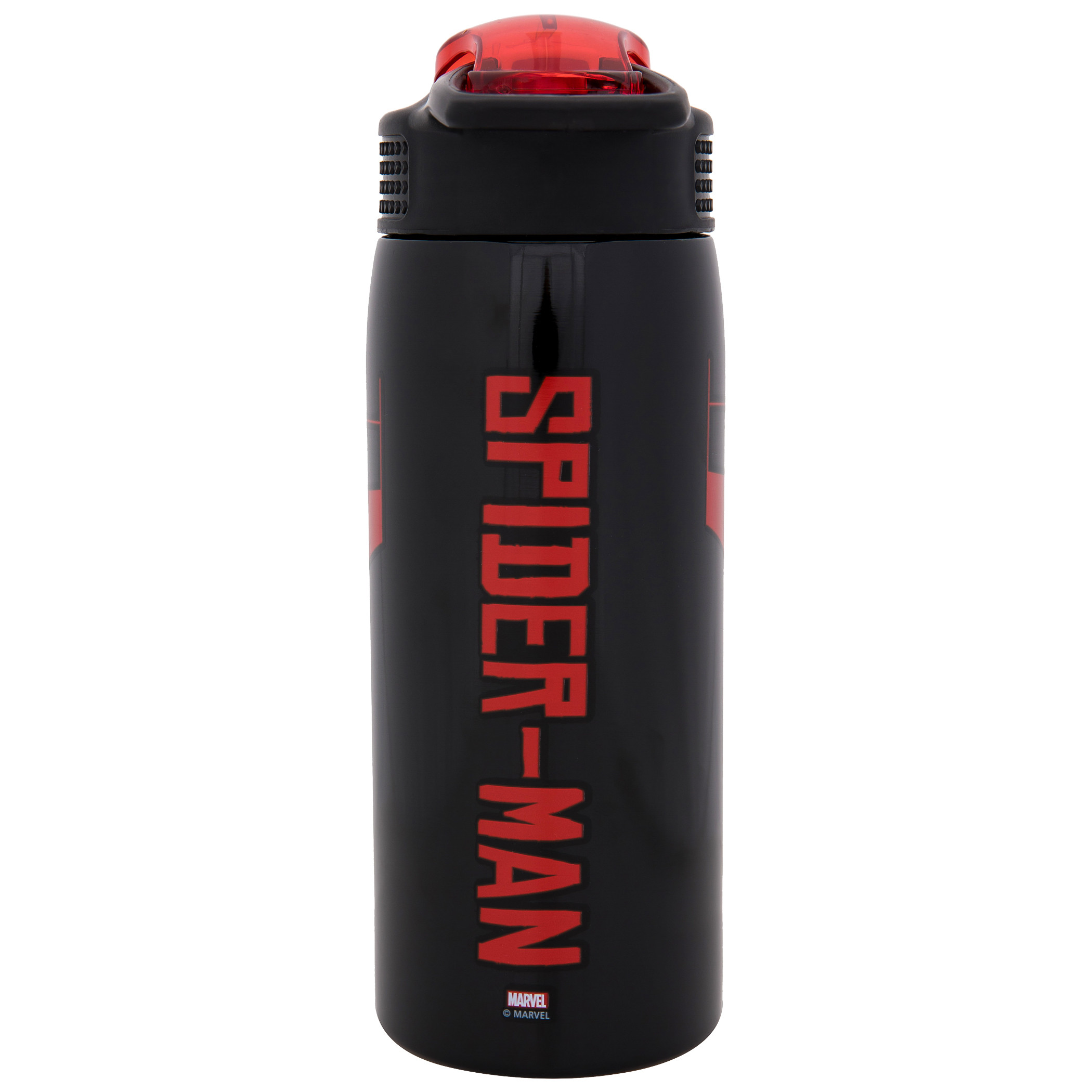 Miles Morales Suit 19oz Stainless Steel Double Walled Water Bottle